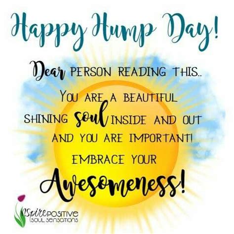 Happy Hump Day Hump Day Quotes Happy Wednesday Quotes Wednesday Quotes