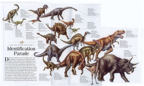 Dinosaurs Identification Parade Of Dinosaurs From The Late