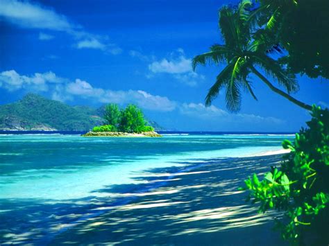 69 Tropical Island Backgrounds On Wallpapersafari