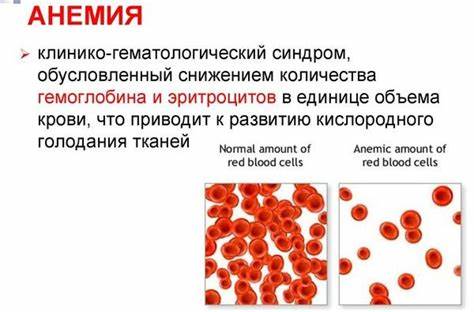 Печень говяжья рецепты на диете Говяжья печень. Калорийность на 100 грамм, химический состав, белки Говяжья печень. Калорийность на 100 грамм, химический состав, белки Печень говяжья рецепты на диете