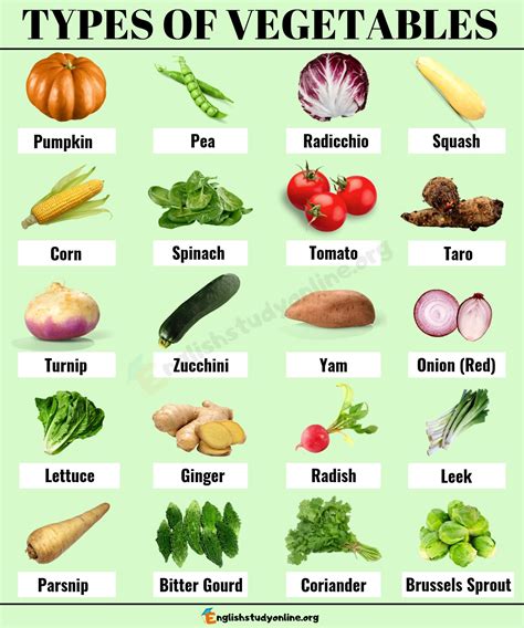 Vegetables Names List With Picture