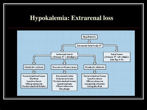 Ppt Hypokalemia Powerpoint Presentation Free Download Id4355252