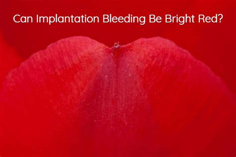 3 Days Implantation Bleed How To Heal