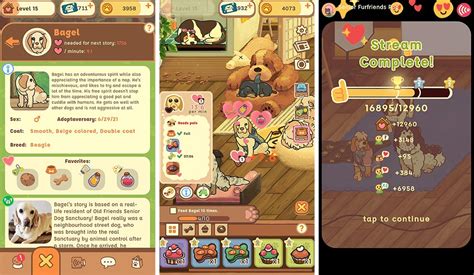 Old Friends Dog Game A Superparent First Look Superparent