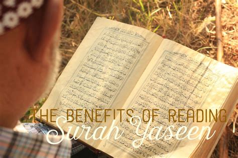 The Benefits Of Reading Surah Yaseen Hubpages