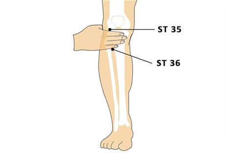 Pressure Points In Knee 10 Acupressure Points For Knee Pain Relief