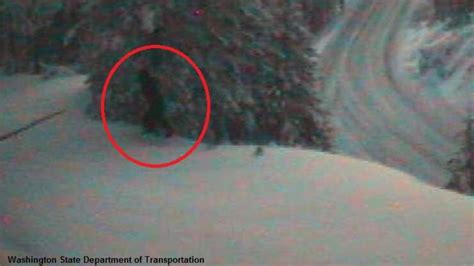 Bigfoot Spotted On Washington Webcam Iheartradio Coast To Coast Am