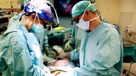 livmodertransplantationer i usa dagens medicin
