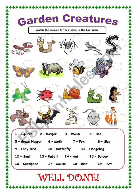 Garden Creatures Worksheet Creatures Vocabulary