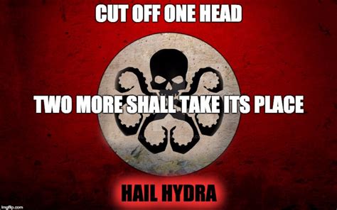 Pin By Dlaklin Corvioahr On Hail Hydra In 2023 Hail Hydra Hydra Hail