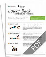Lower Back Exercises For Seniors Images