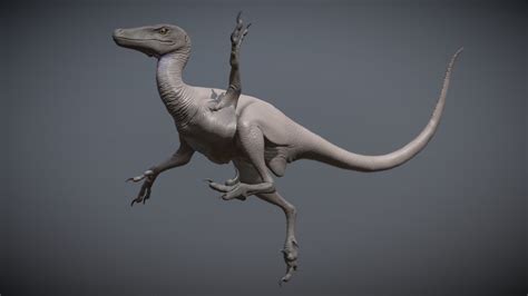Featherless Velociraptor 3d Model By Zerindo D753e0d Sketchfab