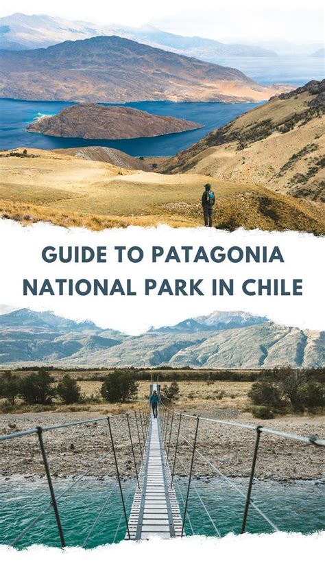The Ultimate Guide To Patagonia National Park In Chile Chile Travel