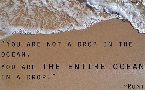 The quote can come from a known person. You are not a drop in the ocean. You are the entire ocean in a drop. | Popular inspirational ...