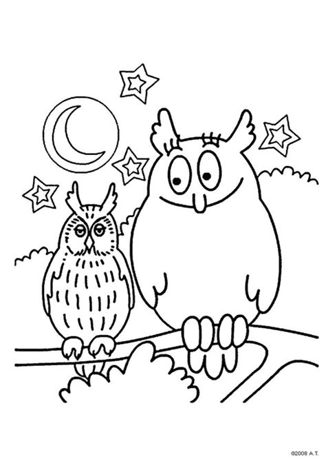 coloring page owls  printable coloring pages img