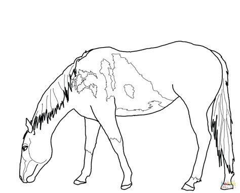 Coloring Pages Wild Horses At Free Printable