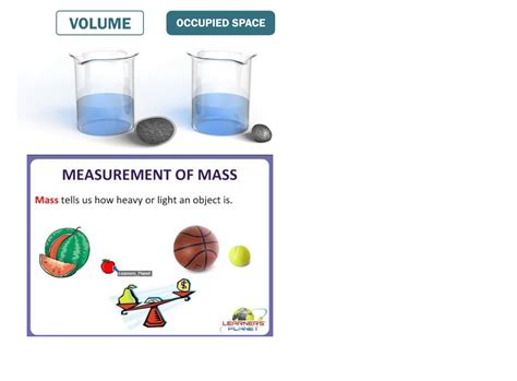 Welcome To Our English Blog Third Grade Is Great 45 Natural Science Review