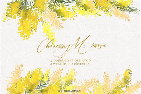 Charming Mimosa Yellow Flowers Png Decorative Illustrations