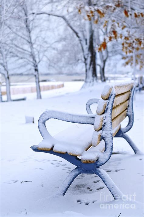 Winter Bench Photograph By Elena Elisseeva