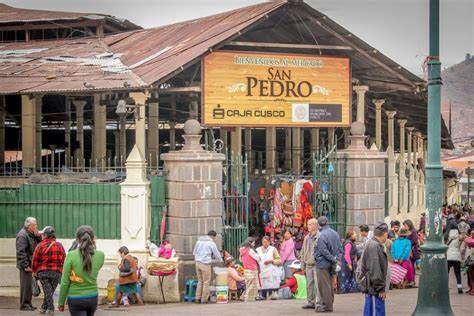 * we are the largest provider in the usa with a you may sign up below to receive notice of current and upcoming auctions and overstock sales of rare san pedro cacti and other highly desirable items Explorer's Guide: Taking San Pedro in Peru - Maps of the Mind