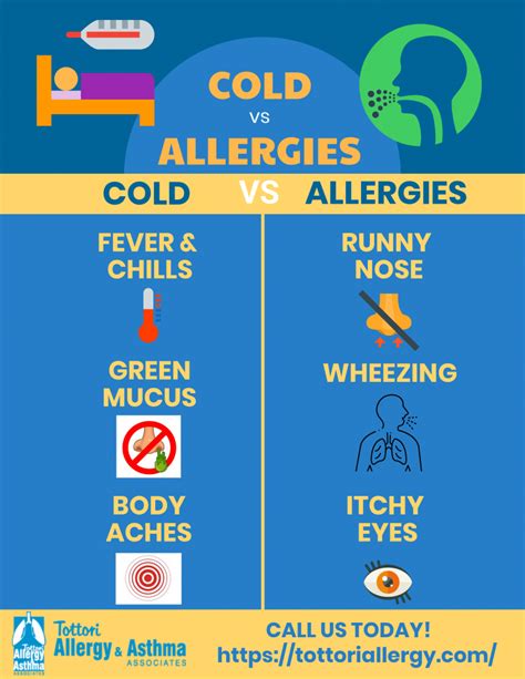 Infographic Is It A Cold Or Allergies Tottori Allergy And Asthma