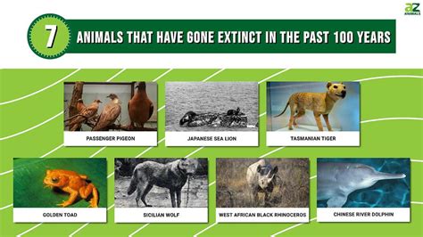 Extinct Animals List In The World