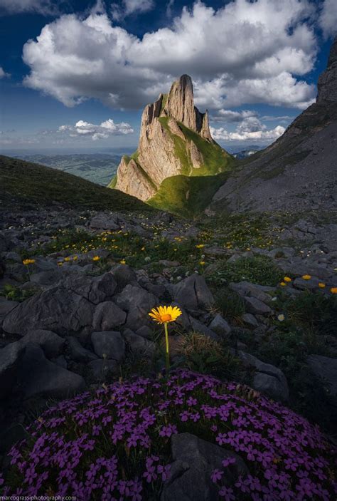 Isolation By Marco Grassi 500px Nature Photography Scenery Nature