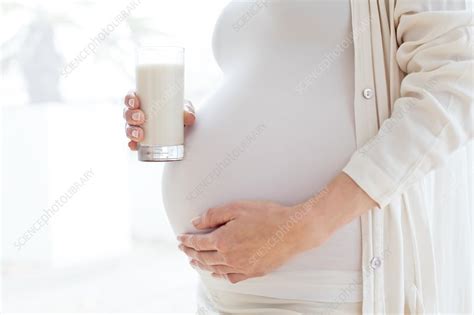 Pregnant Woman Drinking Milk Stock Image F Science Photo Library
