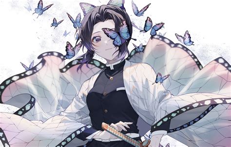 Wallpaper Girl Butterfly Sword The Blade Cleaves Demons Shinobu