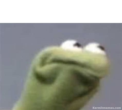 Kermit Memes Kermit Memes