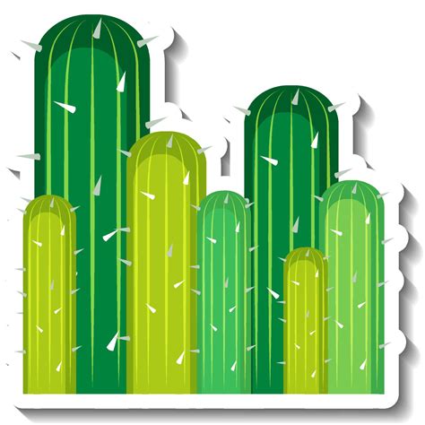 Saguaro Cactus Plant On White Background 4811590 Vector Art At Vecteezy