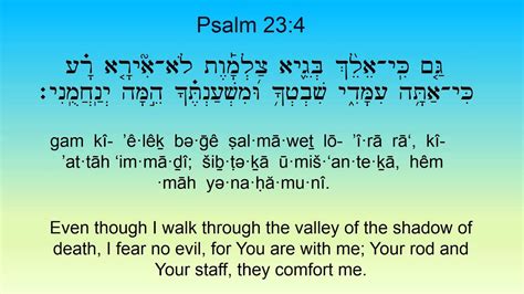 Psalm 23 In Hebrew And English Youtube