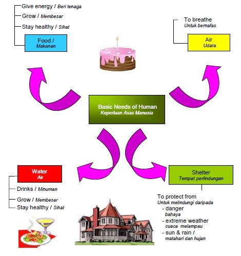 Sains tahun 2 keperluan asas tumbesaran tumbuh tumbuhan. Seindah Sains