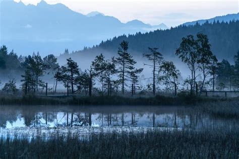 Dusk Over Trees Mirrored In The Swamp Of Pian Di Gembro Nature Reserve