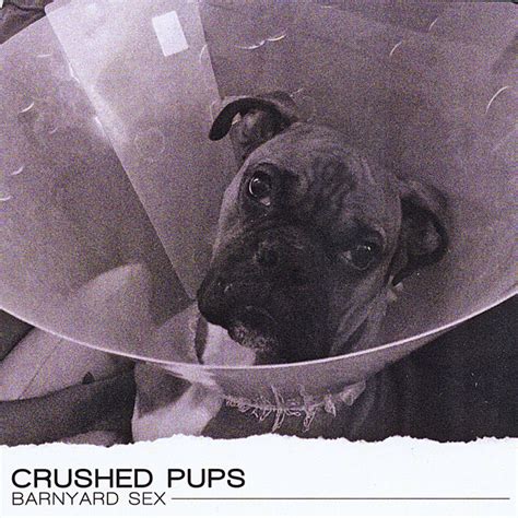 Barnyard Sex Album By Crushed Pups Spotify