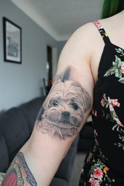 Pet memorial tattoo from Adam at Arcadian Tattoo in Des Moines. : r/tattoos