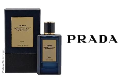 Prada Olfactories Some Velvet Morning New Fragrance Perfume News