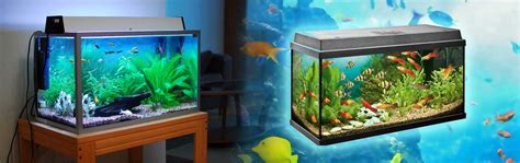 Well you're in luck, because here they come. Fish Addicts Aquarium And Pet Store, Near Mohintara ...
