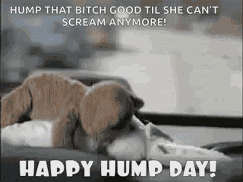 Happy Hump Day Blaupunkt Ad  Happyhumpday Blaupunktad Theadvantageinyourcar Discover