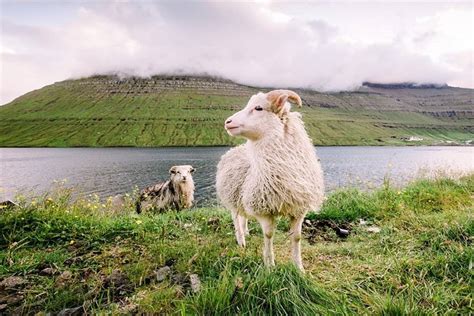 National Geographic Endurance Coastal Wonders Of Norway The Faroe