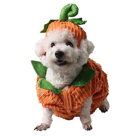 Dog Apparel Pumpkin Design Creative Funny Pet Clothing Dog Halloween