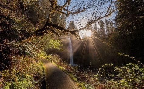 1230x768 Nature Landscape Forest Waterfall Path Sun Rays Shrubs Trees