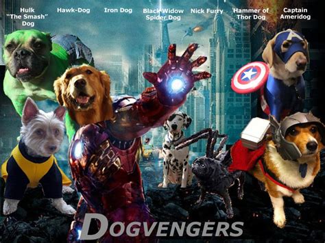 You Need To Check Out These Dogs Dressed In Avengers Costumes