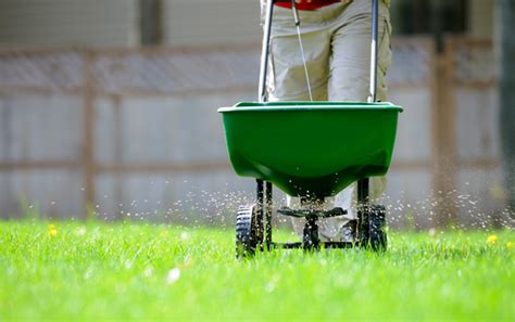 Lawn Care Lawn Care Services Lawn Care Decatur Il Pro Lawn Care