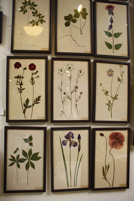 By 11:00 a.m., the dew will have evaporated, yet the afternoon sun keep the pressed flowers evenly weighted by placing more books (or a cinderblock) on top of the pressed flower book. » Framed Pressed Flowers - I'd like to do this with ...