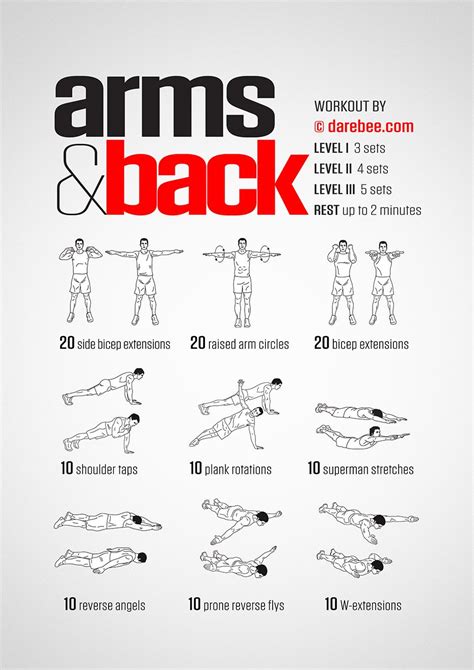 Arms And Back Workout Upper Body Strength Workout Arm Workout Body