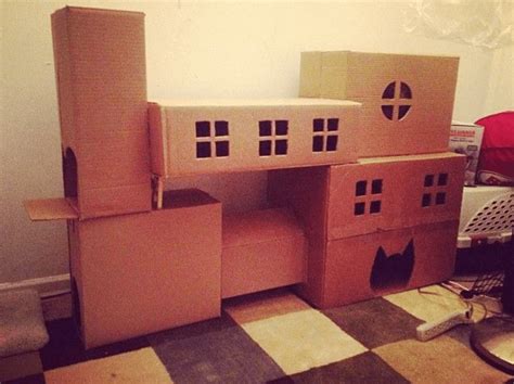 Got Boxes Diy Ideas With Cardboard For Your Cat The Paw