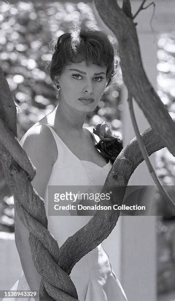 Actress Sophia Loren Poses For A Portrait Session In 1958 In Los