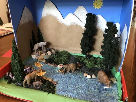 Taiga Biome Diorama Diorama Kids Classroom Art Projects Biomes Project