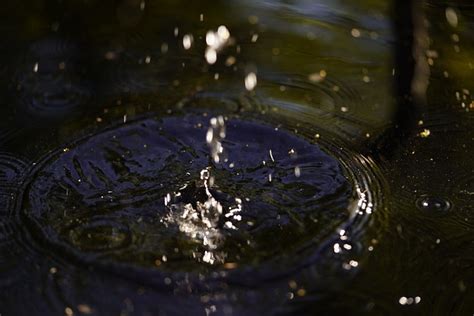 Water Drop Nature Free Photo On Pixabay Pixabay